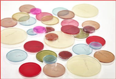 Selective Agar Media - Ready to Use
